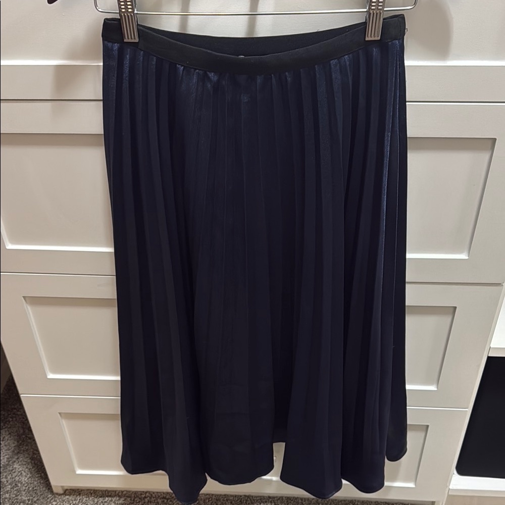 Elegant Navy Pleated Silk Skirt